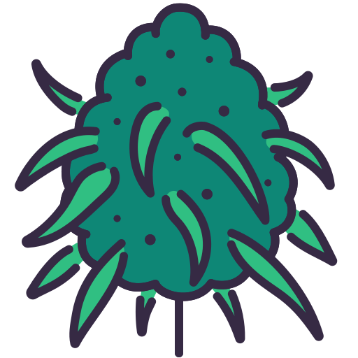 อินดอร์